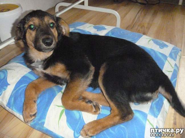 ���� 3: �� �����!) ���� �����