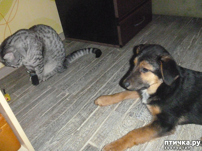 ���� 6: �� �����!) ���� �����