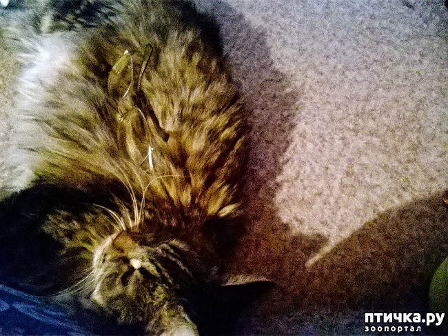 ���� 2: ����� � ���� - �������� ����!