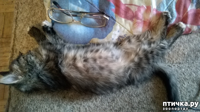 ���� 3: ����� � ���� - �������� ����!