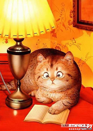 ����: �� ���� �����������