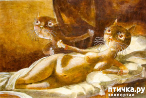 ����: ������ �� ��� ����!