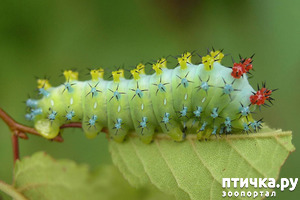 ����: ������ � ��� ������ - �.6