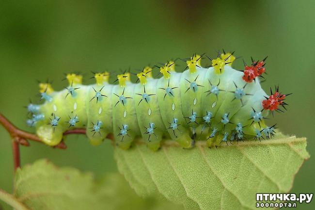 ���� 1: ������ � ��� ������ - �.6