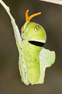 ���� 3: ������ � ��� ������ - �.6