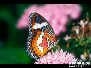 ���� 4: ������ � ��� ������ - �.6