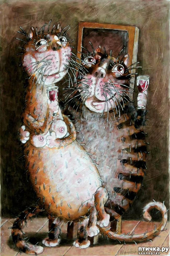 ���� 5: ������ �� ��� ����!