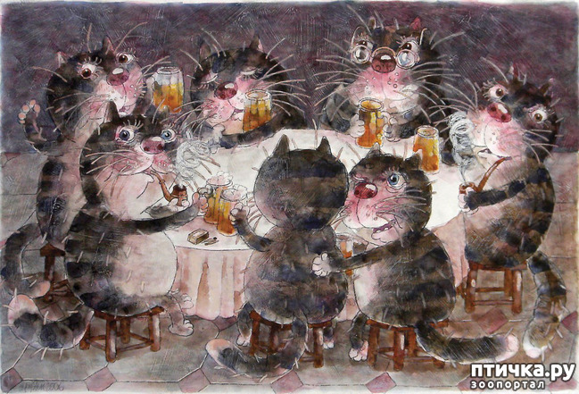 ���� 4: ������ �� ��� ����!