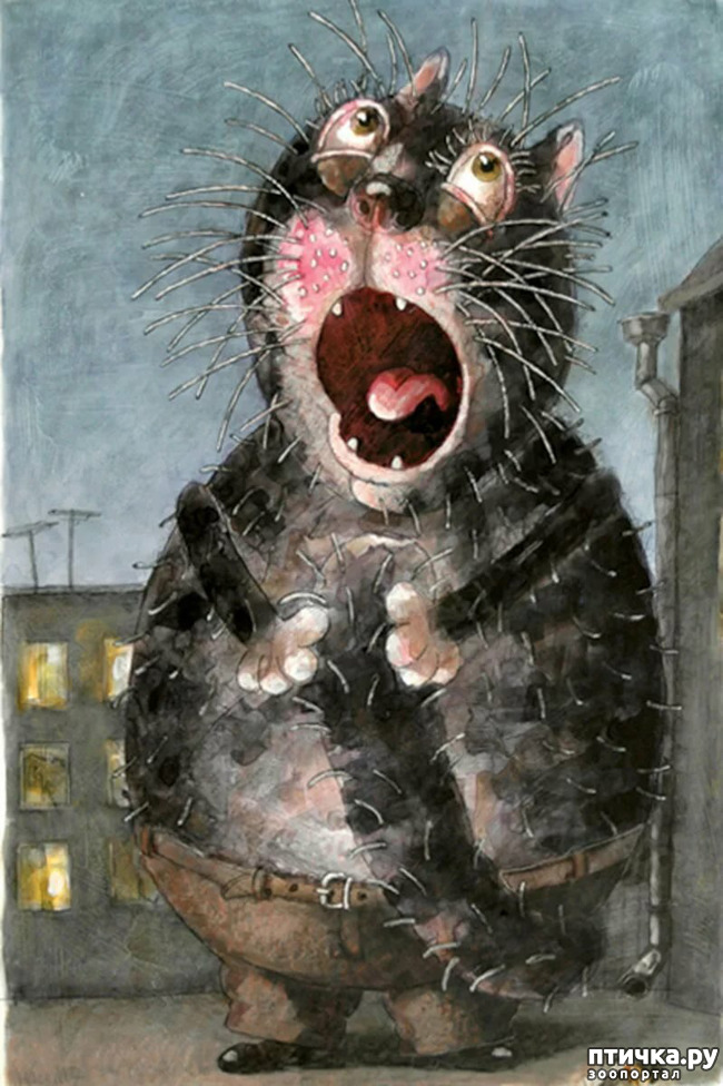 ���� 6: ������ �� ��� ����!