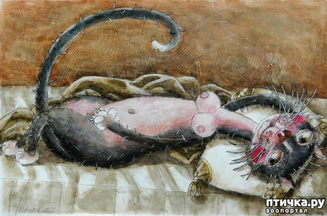 ���� 8: ������ �� ��� ����!