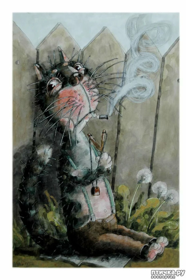 ���� 9: ������ �� ��� ����!