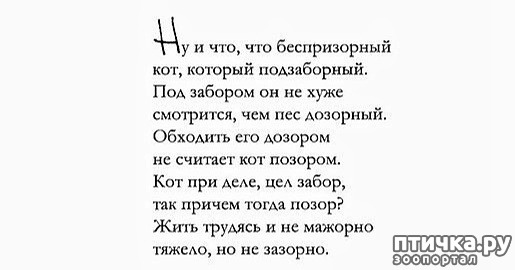 ���� 10: ������ �� ��� ����!