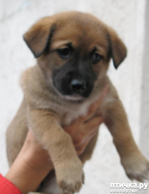 ����: ���� ������ ������ ��� ������ �������� ������