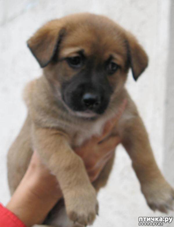 ���� 1: ���� ������ ������ ��� ������ �������� ������