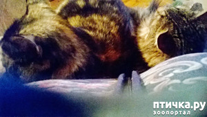 ����: ����� � ���� - �������� ����!