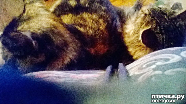 ���� 1: ����� � ���� - �������� ����!