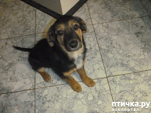 ����: �� �����!) ���� �����