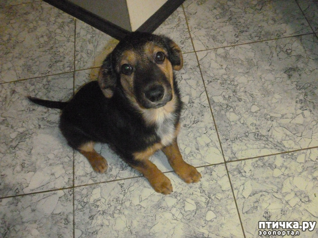 ���� 1: �� �����!) ���� �����