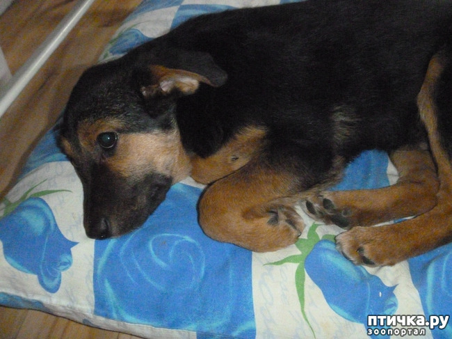 ���� 4: �� �����!) ���� �����