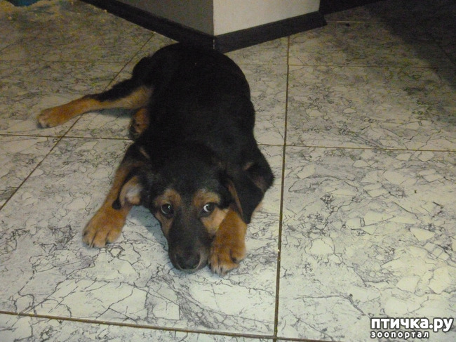 ���� 5: �� �����!) ���� �����