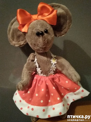 фотография: Бравый и его друзья - ч.7 фото: Бравый и его друзья - ч.7