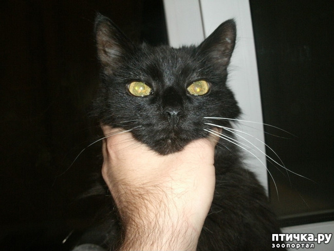 ���� 1: ��� ����� � �����