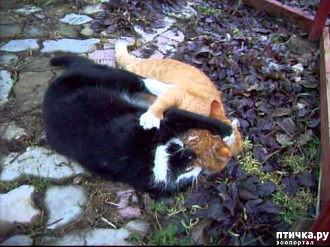 ���� 2: ������ � ��� ������ - �.8