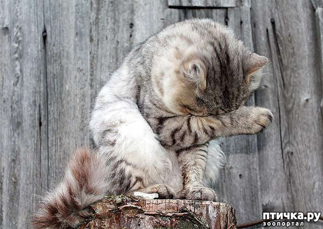 ���� 2: ������ 