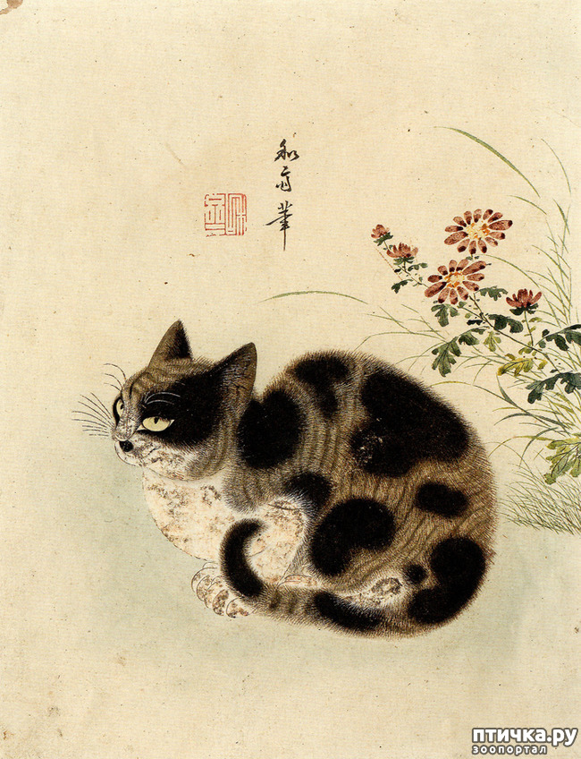 ���� 1: ������� � �����