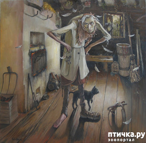 фотография: Как к бабе яге пришли имущество описывать фото: Как к бабе яге пришли имущество описывать