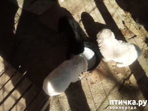 ����: ��������� ������� � ��������� ������.