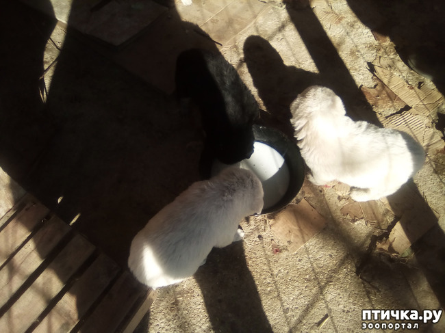 ���� 1: ��������� ������� � ��������� ������.