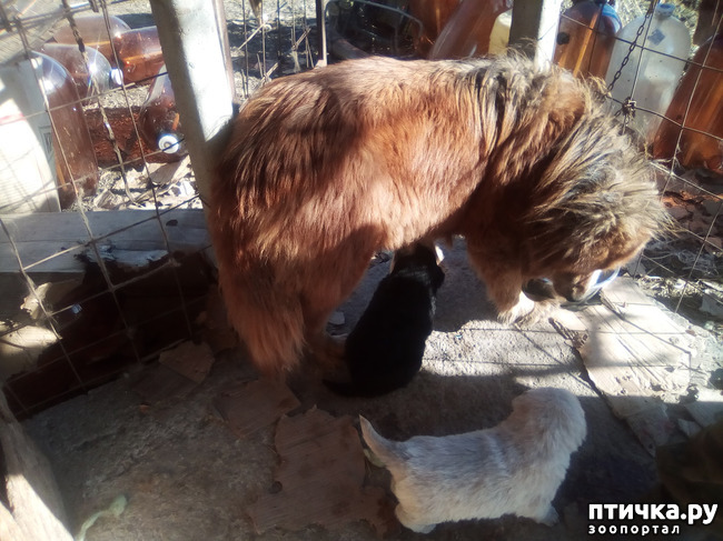 ���� 2: ��������� ������� � ��������� ������.