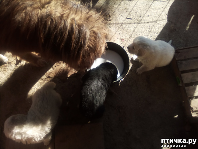 ���� 3: ��������� ������� � ��������� ������.