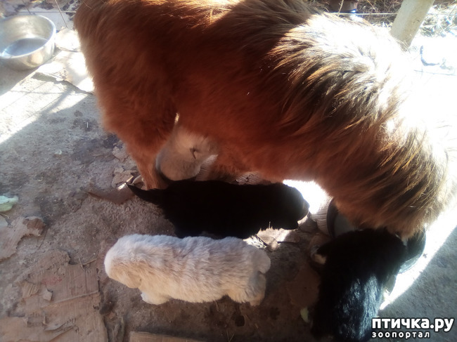 ���� 4: ��������� ������� � ��������� ������.