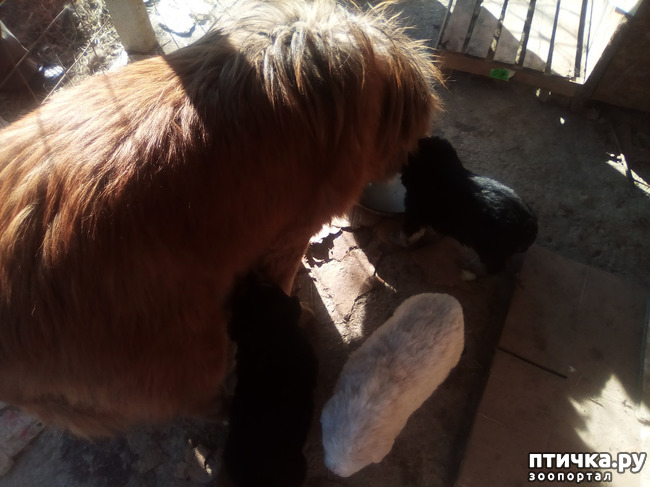 ���� 7: ��������� ������� � ��������� ������.