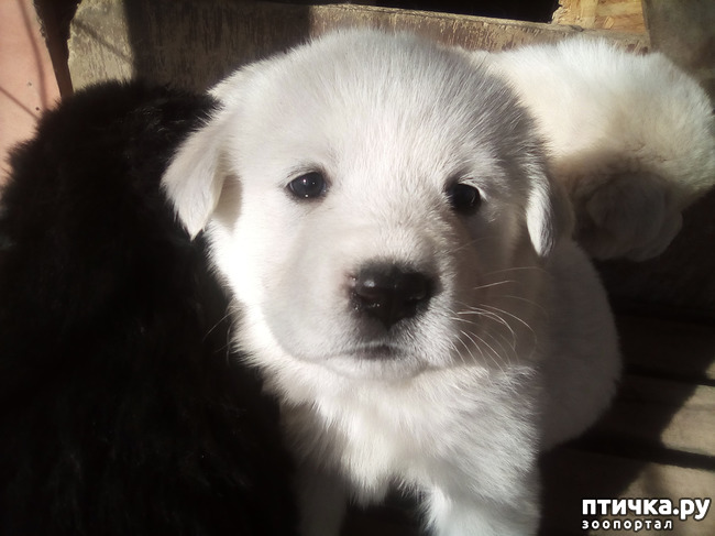 ���� 8: ��������� ������� � ��������� ������.