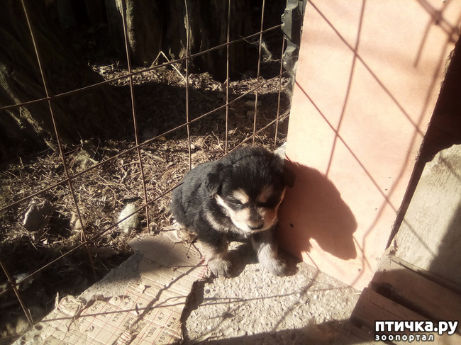 ���� 9: ��������� ������� � ��������� ������.