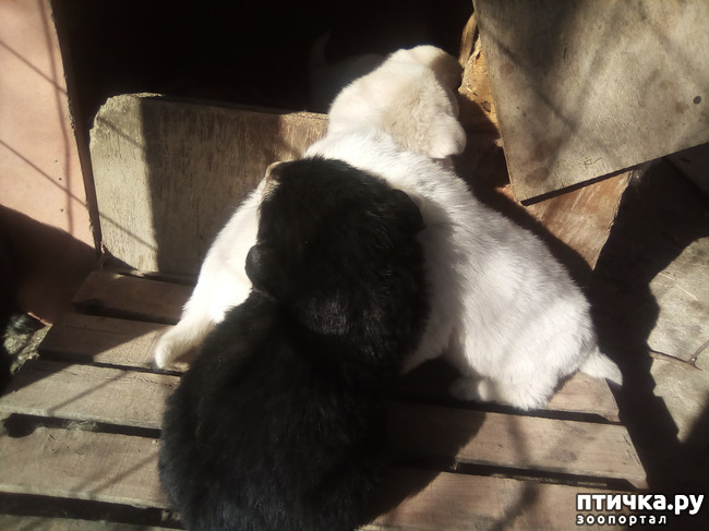 ���� 10: ��������� ������� � ��������� ������.