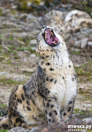 ����: �� ����� �� ������� ����, � ������