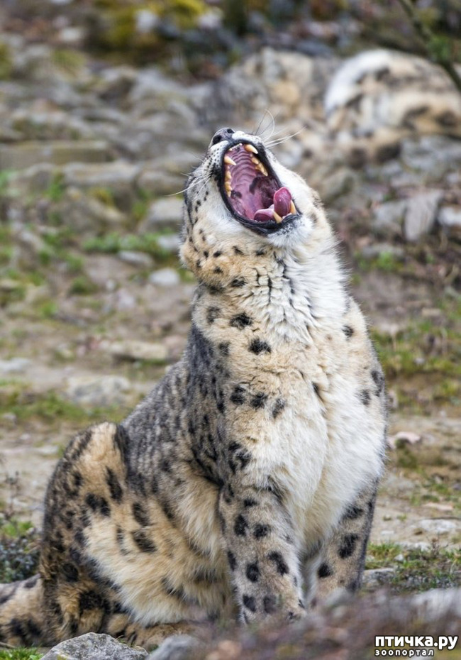 ���� 1: �� ����� �� ������� ����, � ������