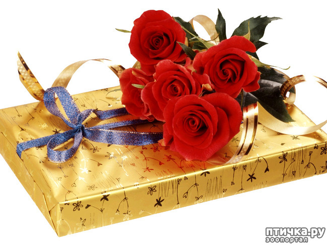 ���� 6: ������� ����� ��������!