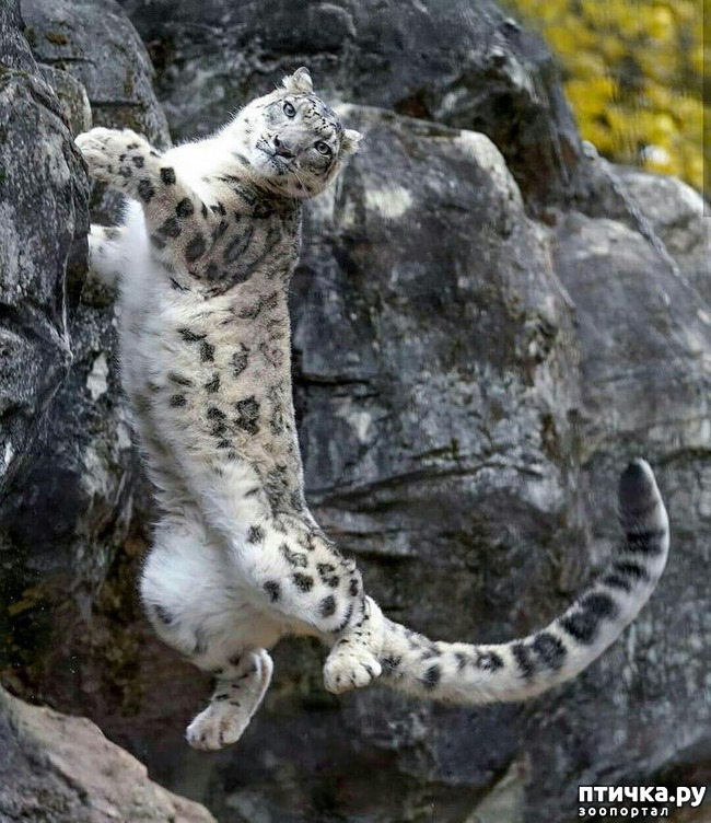 ���� 3: �� ����� �� ������� ����, � ������