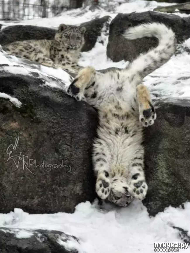 ���� 4: �� ����� �� ������� ����, � ������