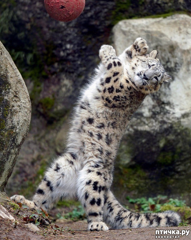 ���� 5: �� ����� �� ������� ����, � ������