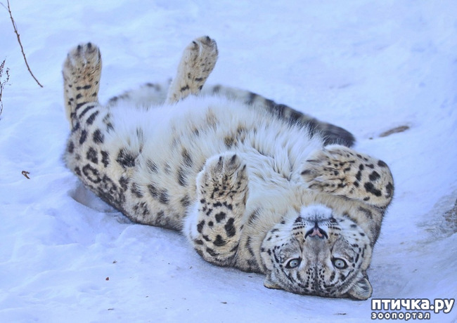 ���� 6: �� ����� �� ������� ����, � ������