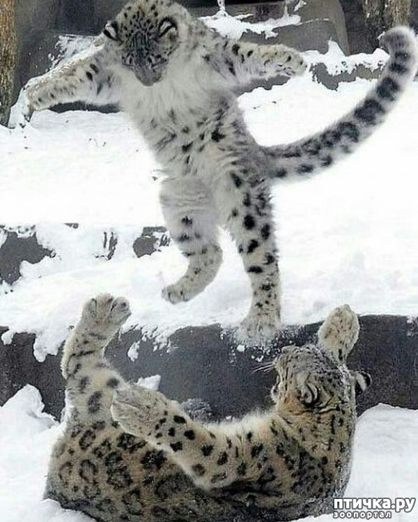 ���� 11: �� ����� �� ������� ����, � ������