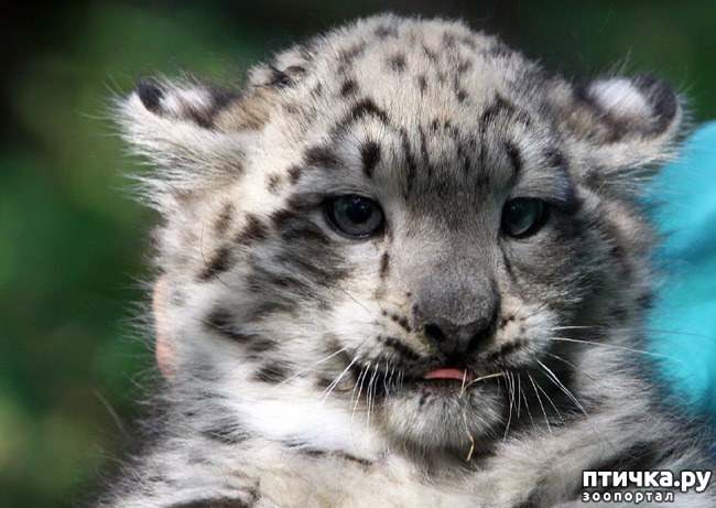 ���� 10: �� ����� �� ������� ����, � ������