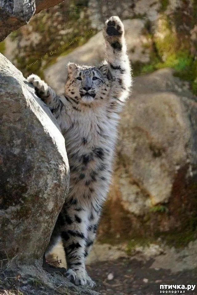 ���� 8: �� ����� �� ������� ����, � ������