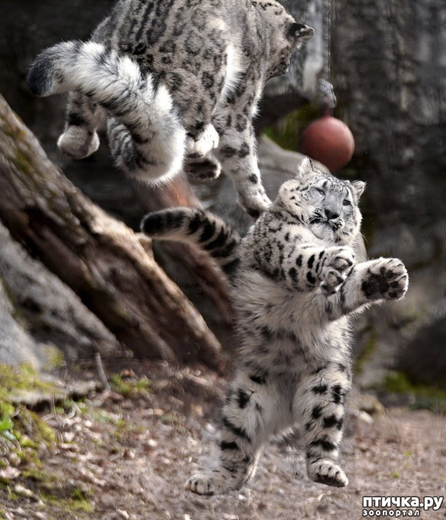 ���� 12: �� ����� �� ������� ����, � ������